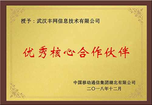 中國移動優(yōu)秀核心合作伙伴